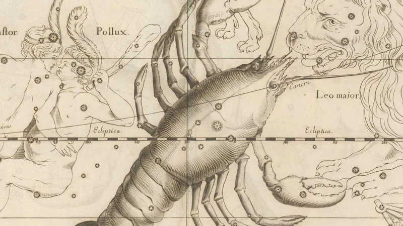 Black-and-white engraving from Hevelius's star atlas of 1690: a large crustacean with raised claws.