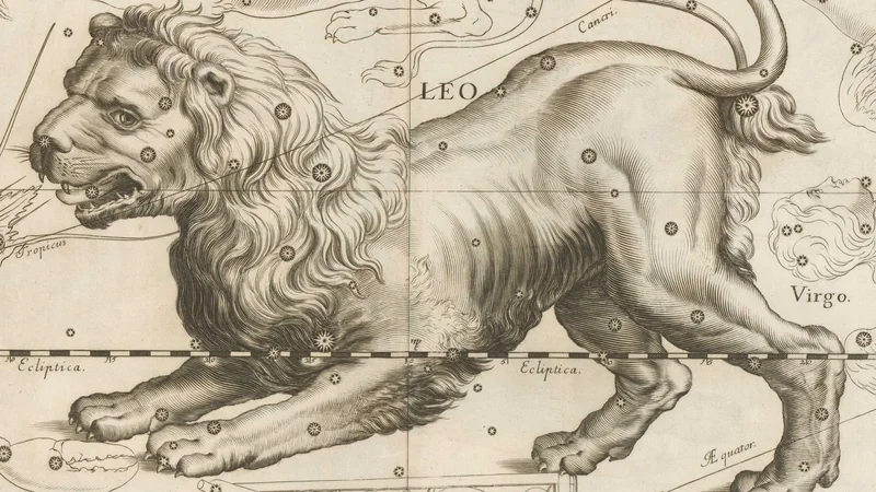 Black-and-white engraving from Hevelius's star atlas of 1690: a lion with a thick mane.