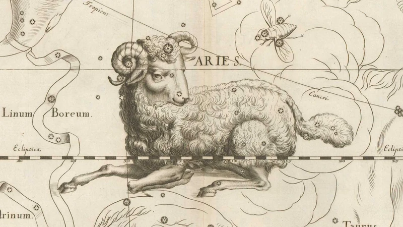 Black-and-white engraving from Hevelius's star atlas of 1690: a reclining ram with curled horns.