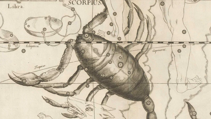 Black-and-white engraving from Hevelius's star atlas of 1690: a large scorpion with a curled tail.