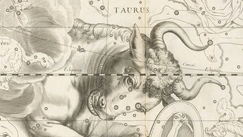Black-and-white engraving from Hevelius's star atlas of 1690: the front half of a bull with curved horns.