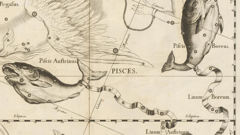 Black-and-white engraving from Hevelius's star atlas of 1690: two fishes joined by a ribbon.