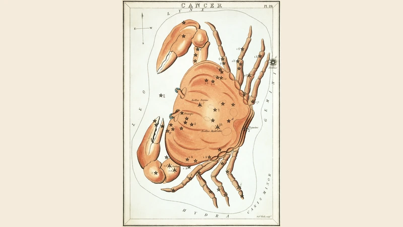Hand-colored card from Urania's Mirror of 1825: an orange crab.