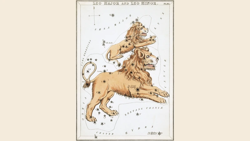 Hand-colored card from Urania's Mirror of 1825: a large and a small lion.