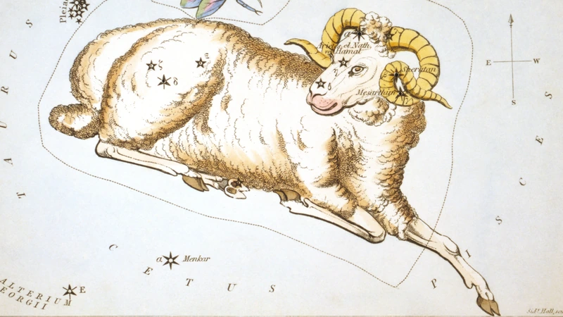 Hand-colored card from Urania's Mirror of 1825: a golden ram with curled horns and a fly above.