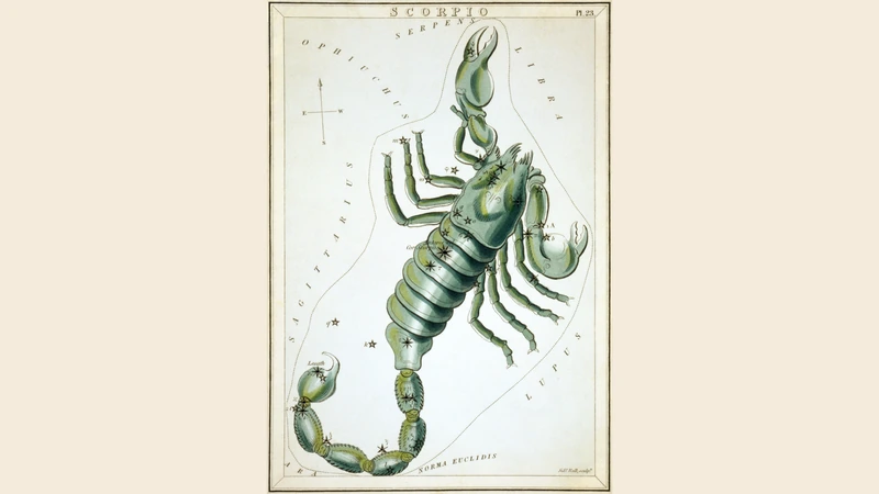 Hand-colored card from Urania's Mirror of 1825: a green scorpion.