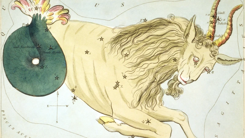 Hand-colored card from Urania's Mirror of 1825: a sea-goat with a fish's tail.