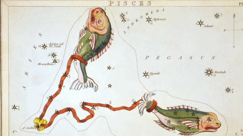 Hand-colored card from Urania's Mirror of 1825: two fishes joined by a red ribbon.
