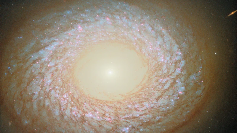 The galaxy NGC 2775: a pale, smooth core surrounded by a ring of feathery spiral arms with pink and blue star clusters.