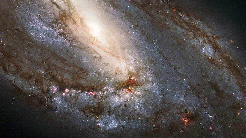 Part of the spiral galaxy Messier 66 with dust lanes, blue star clusters and pink star-forming regions.