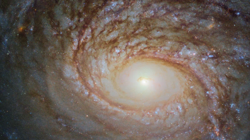 The spiral galaxy NGC 772: a glowing center surrounded by swirling spiral arms with dust lanes and blue star clusters.