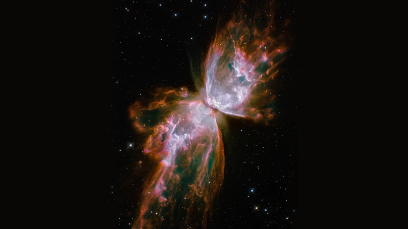 The Butterfly Nebula: two pink-orange wings of gas spreading outward from the center, against a starry sky.