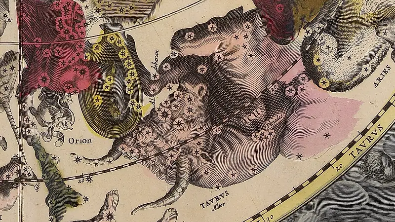 Der Stier als gestochenes, koloriertes Tier mit Sternen auf Kopf und Körper; links ein goldener Schild, neben der Aufschrift Orion.