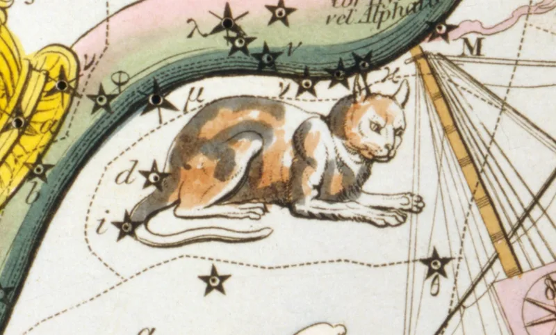 The cat Felis under the snake Hydra, detail from card 32 of Urania's Mirror (1825)
